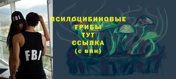 прущий лед Белокуриха