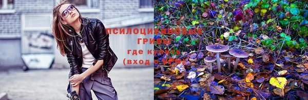 гидропоника Балабаново