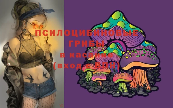 гидропоника Балабаново