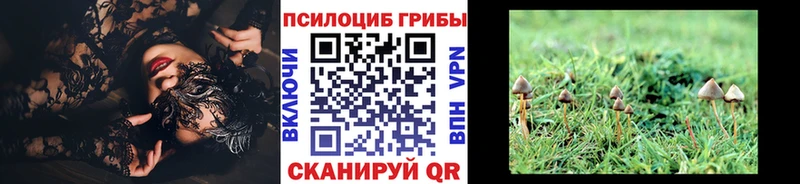 продажа наркотиков  Верхний Тагил  Псилоцибиновые грибы Magic Shrooms 